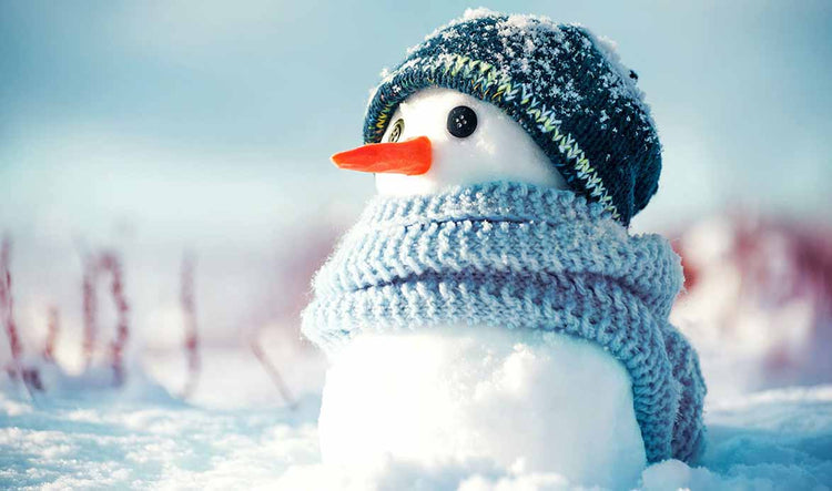 INVIERNO