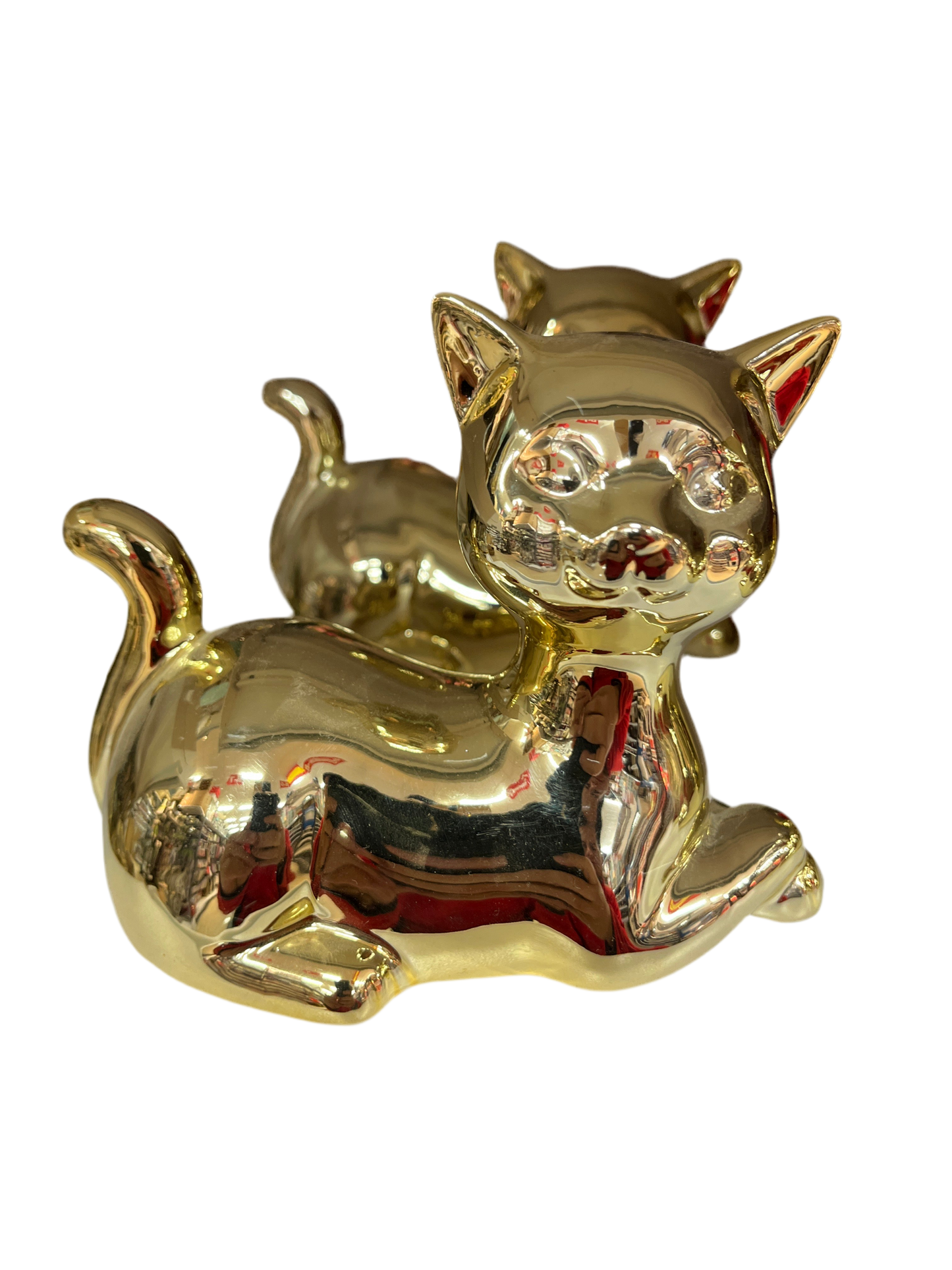 Gato porcelana